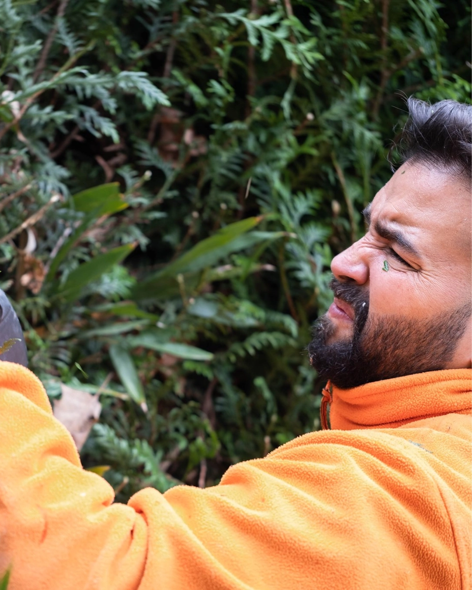 ÉLAGAGE BÉARN - L'HÉRISSON DU JARDIN