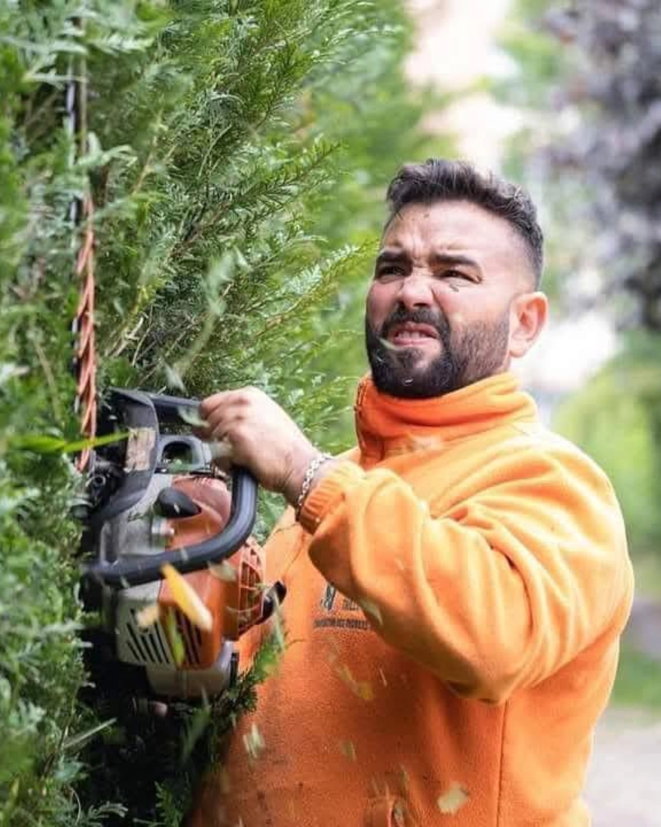 entretien de jardins à Pau