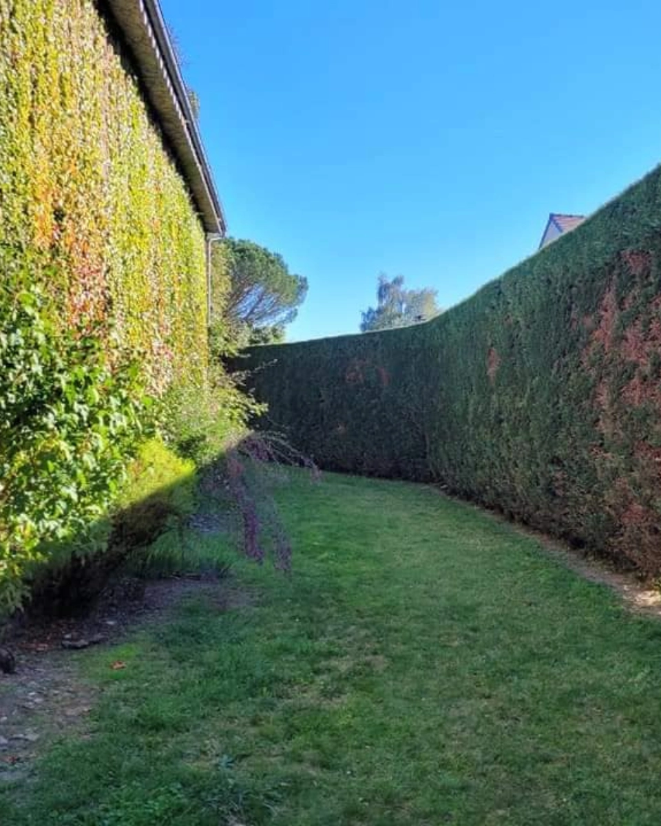 ÉLAGAGE SUR PAU - L'HÉRISSON DU JARDIN