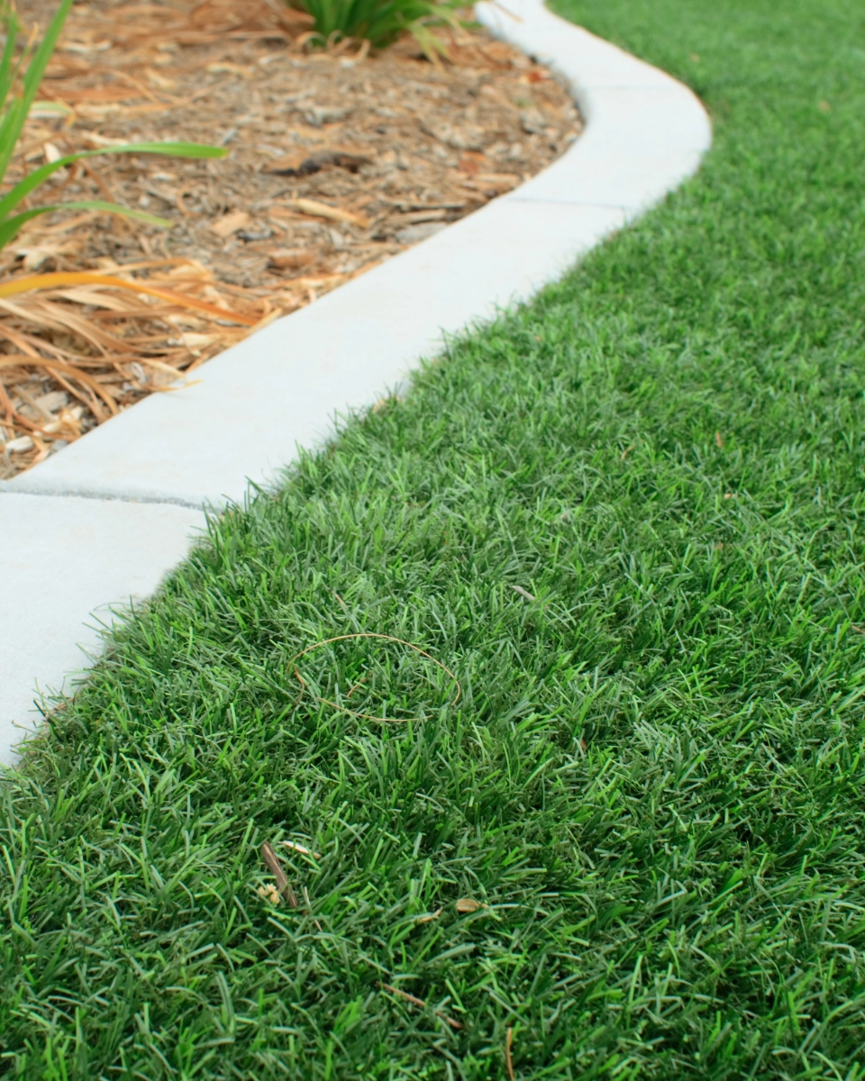 Entretien des jardins sur Pau par l'Hérisson du Jardin