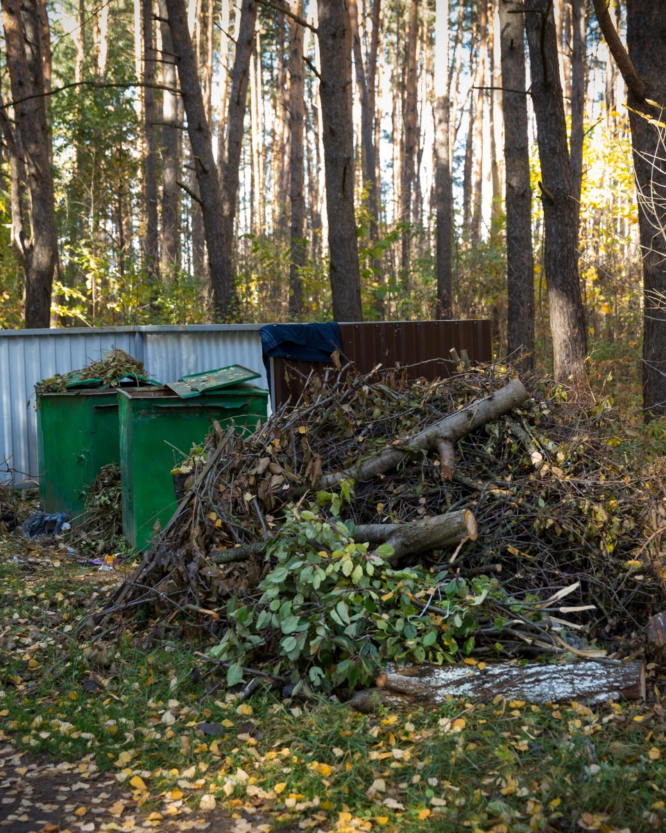 Évacuation des gravats et déchets - L'Hérisson du Jardin 1 Rénovation façade et peinture à Pau