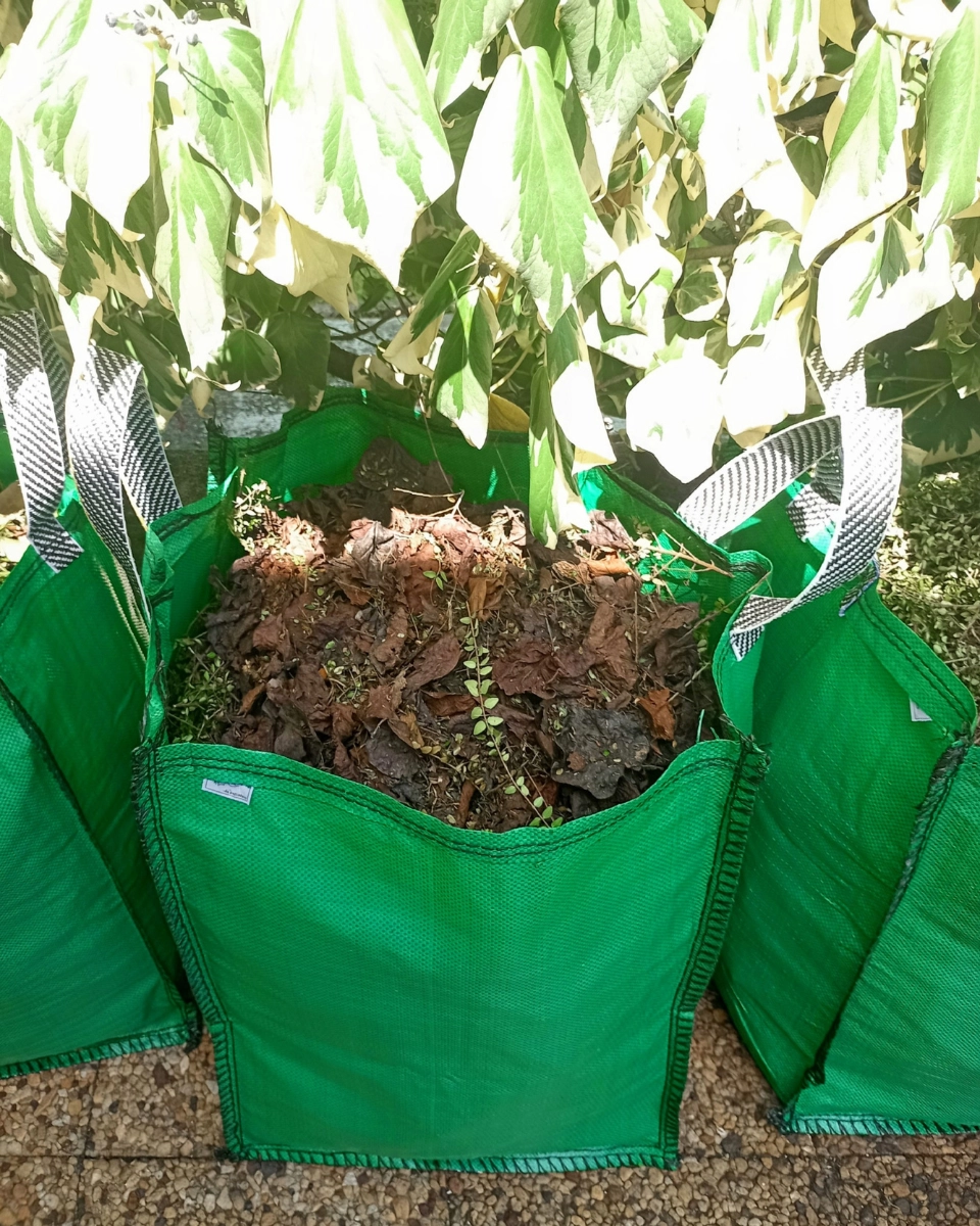 Évacuation des gravats et déchets - L'Hérisson du Jardin 2 Travaux de peinture à Pau