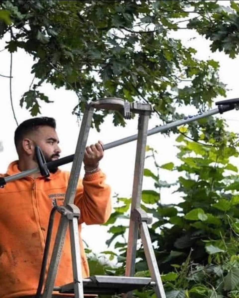 L'HÉRISSON DU JARDIN - SPÉCIALISTE DES TRAVCAUX EXTÉRIEURS SUR PAU - 00001 élagage arbre pau