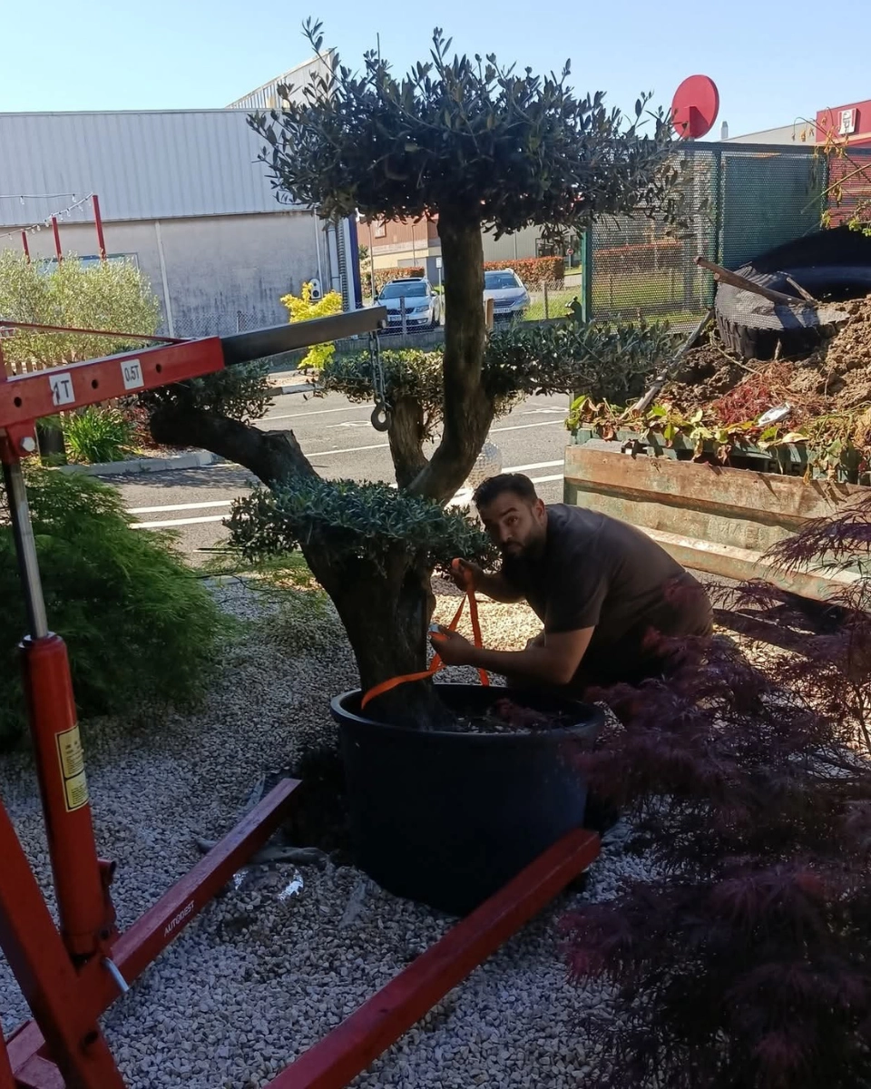 L'HÉRISSON DU JARDIN - SPÉCIALISTE DES TRAVCAUX EXTÉRIEURS SUR PAU - 00008 entretien jardin pau