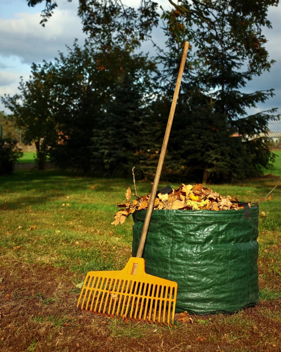NETTOYAGE DE VOS JARDINS - L'HÉRISSON DU JARDIN3