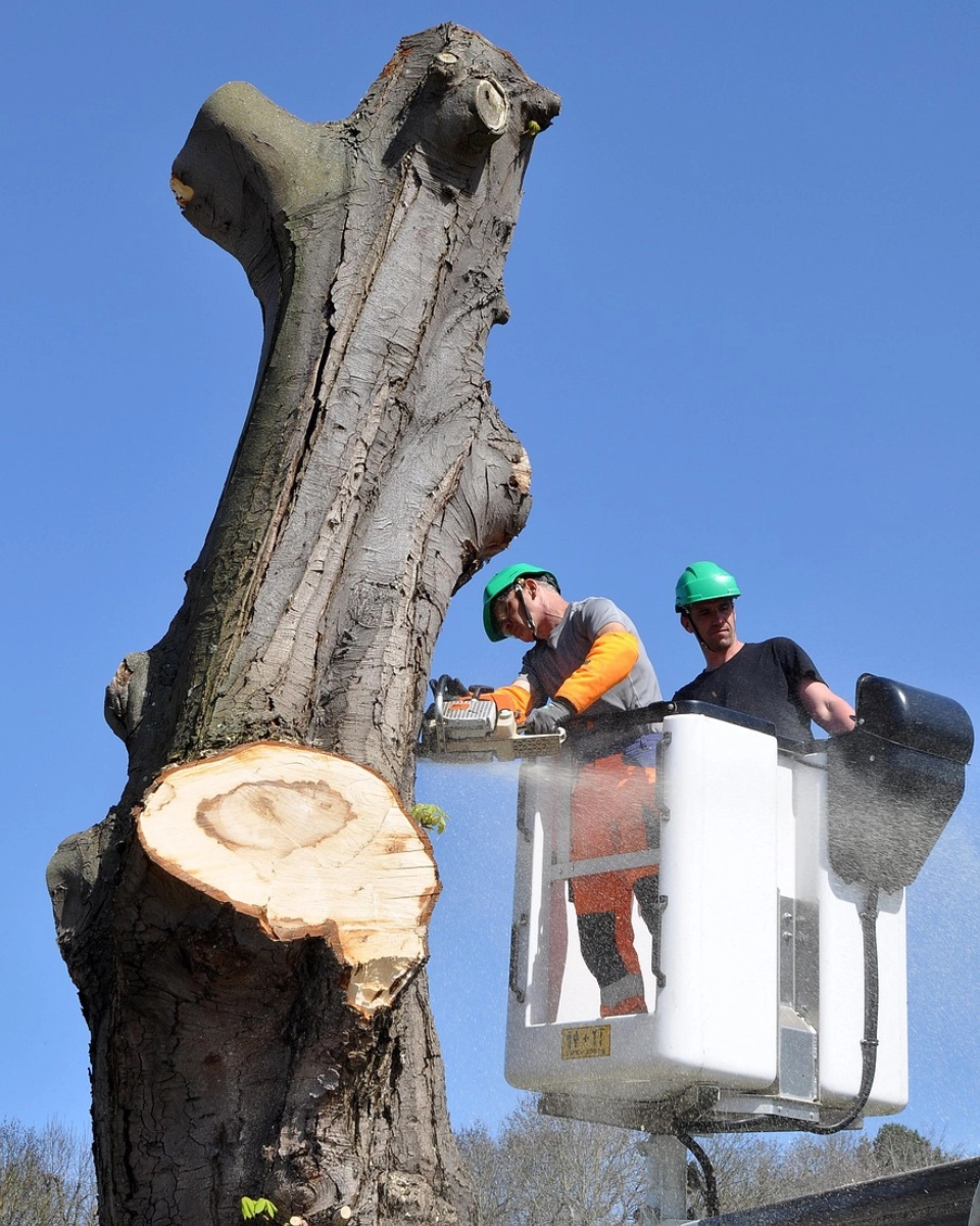 PHOTO PORTRAITS 960X1200PX (2)